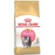 Royal Canin Kitten Persian   - за персийски котенца от 4 до 12 месеца  400 гр.